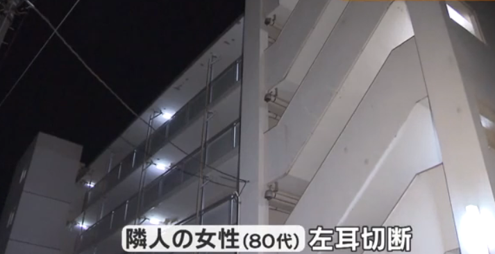 耳切断事件が発生した江戸川区内の都営住宅【引用:FNNプライムオンライン】